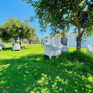 Apartment Giulia, Àrbatax