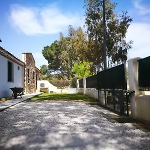 Villa Sangemi, Àrbatax